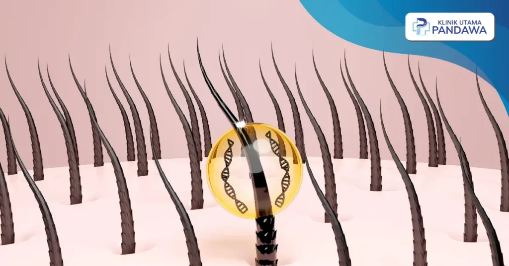 cara menumbuhkan rambut dengan cepat