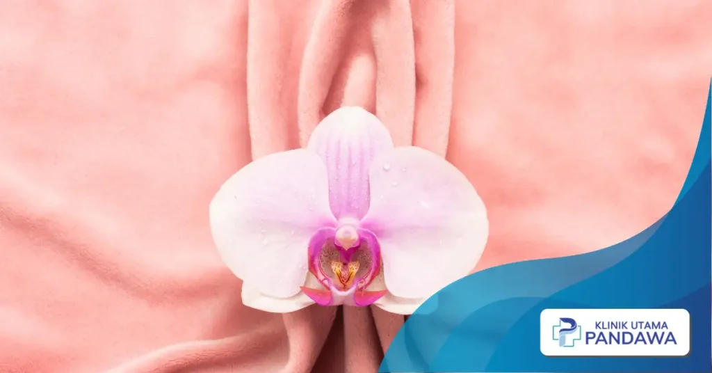 cara mengecilkan labia minora secara alami