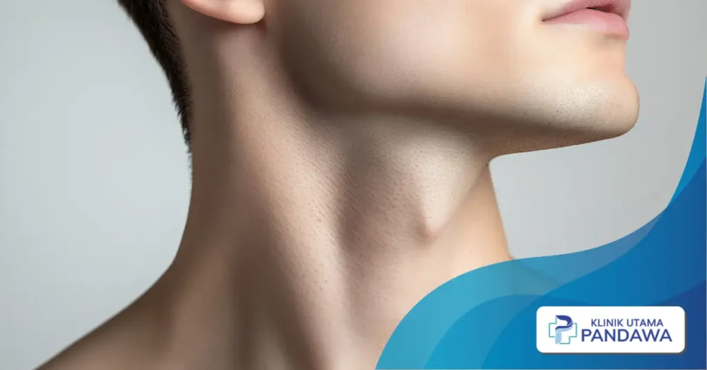 jawline