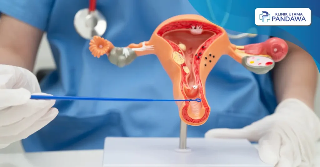 vaginal laxity treatment